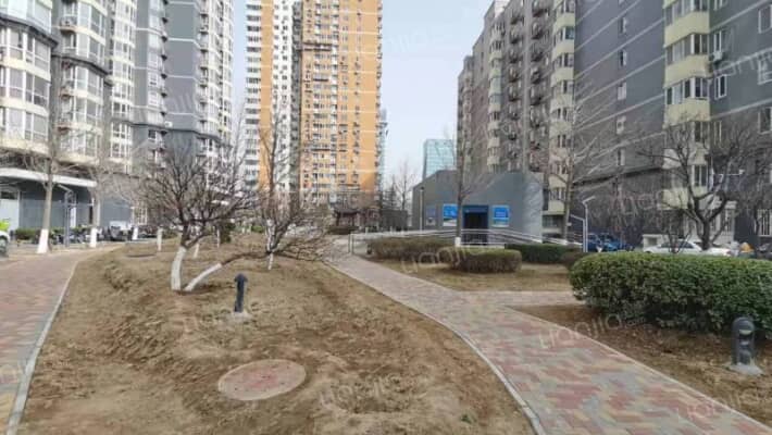 碣石坪11号楼23层1单元2303（117.24㎡）