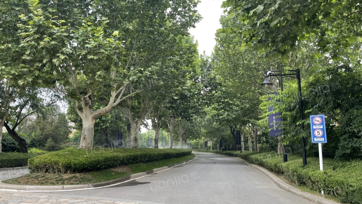定泗路99号院四区157号-1至3层全部