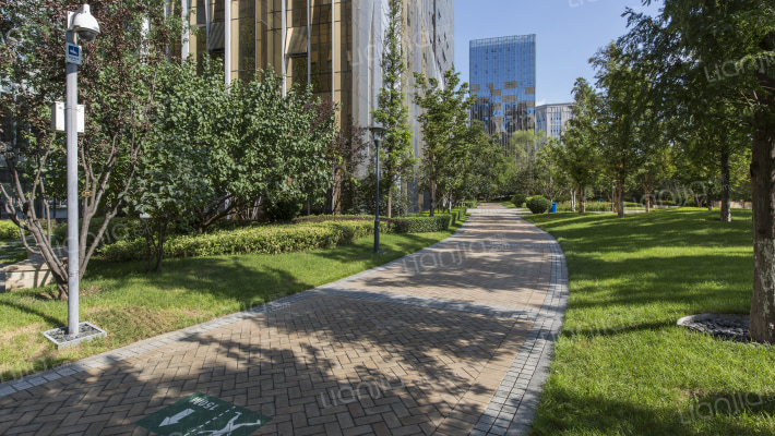 君安国际 2号楼9层1001号