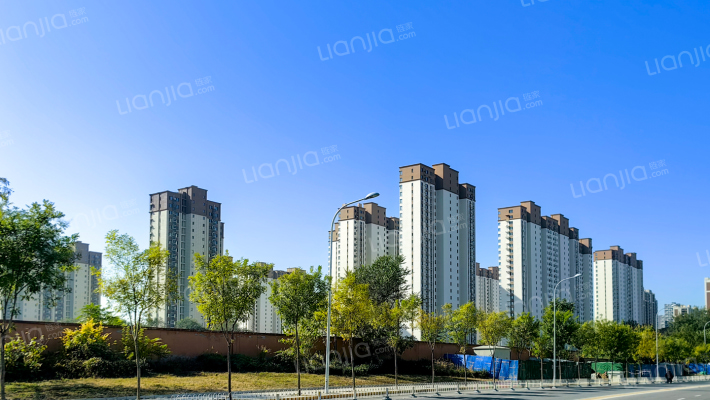 阳光街385号院11号楼11层5单元1101的房屋