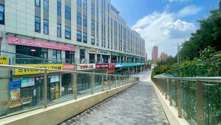 企业墅上区 6号楼2层203号