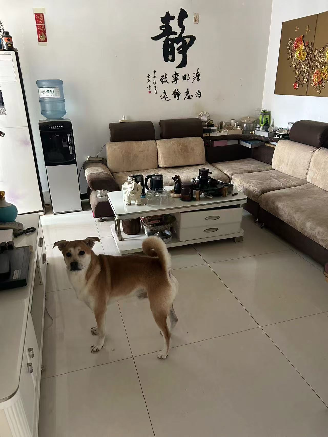 康居小区3号楼6层1单元601室