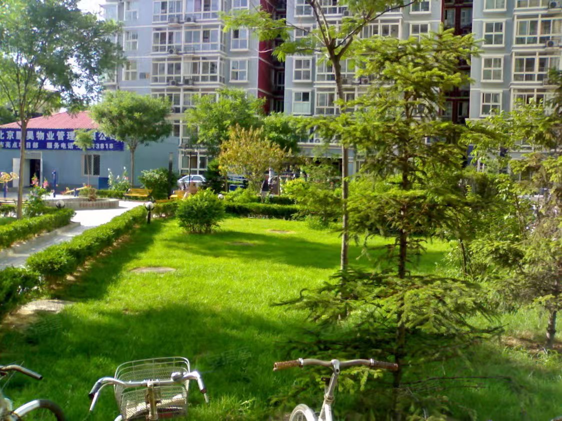 民主北街26号院3号楼10层31002