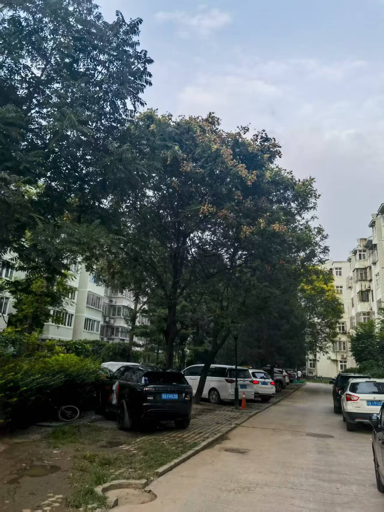 北潞华家园7号楼6层5-602号